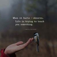 Profile Picture of Saima Farooq (@saima-farooq-7) on Quora