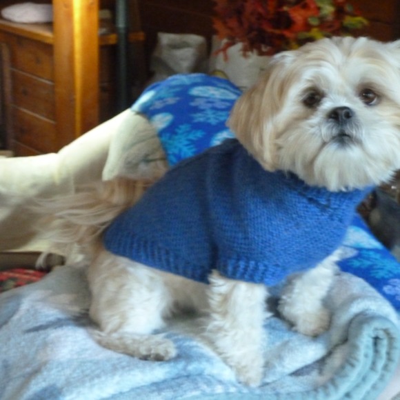 Mari-anne Ennor - Poshmark Profile Picture of Mari-anne Ennor (@marianne1943) on Poshmark