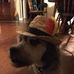 Profile Picture of Robert Kesting (@robert.kesting.5) on Facebook