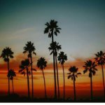 Profile Picture of 💙💙💙Ellis Wilkes💙💙💙 (@ellis7743) on Instagram