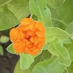 Profile Picture of Edith Boyle (@Edith-Boyle) on Facebook