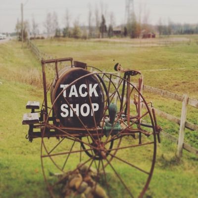 Profile Picture of Amber (@amber_lutz) on Tiktok