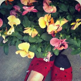 Profile Picture of Jenny Ford (@monkeytoesshoes) on Pinterest
