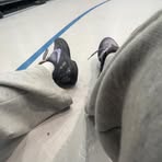 Profile Picture of Zachary Endsley (@Zachary-Endsley) on Facebook