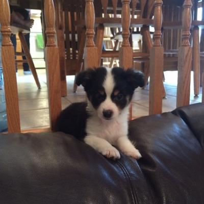 Profile Picture of Jerry Hellman (@Mthellman) on Twitter