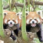 Profile Picture of コレット＊akiko (@colette.jp) on Instagram