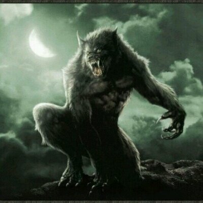 Profile Picture of Jacob Berglund (@jacob_berglund) on Twitter