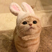 Profile Picture of Táňa Romaniuk (@tanaromaniuk7907) on Youtube