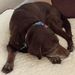 Profile Picture of Matthew Buczek (@matthewbuczek) on Pinterest
