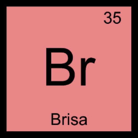 Profile Picture of Brisa Ramirez (@brisara) on Poshmark