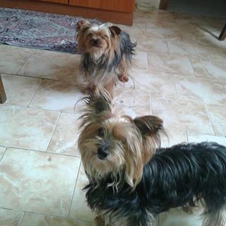 Profile Picture of Concetta Barone (@Concetta-Barone) on Facebook