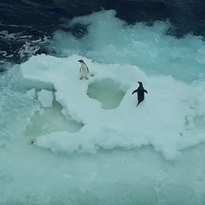 Profile Picture of Craig Rowsell (@RowsellCraig) on Twitter