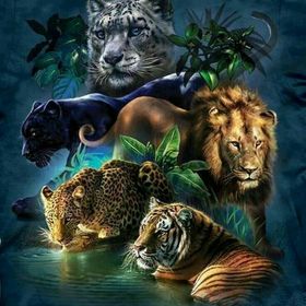 Profile Picture of Al bagao (@shonabanglashon) on Pinterest