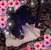 Profile Picture of Randa Hallman (@randa.hallman) on Facebook