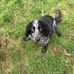 Profile Picture of Robert Wilding (@robert.wilding.509) on Facebook