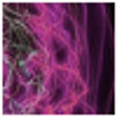 Profile Picture of Rusty Atwood (@mitoreija) on Twitter