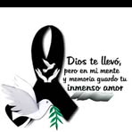 Profile Picture of Alexander Parima (@Alexander-Parima) on Facebook