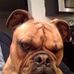 Profile Picture of John Moschette (@john.moschette.9) on Facebook