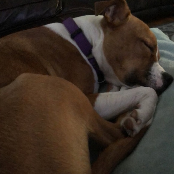 Profile Picture of Gavin Maloney (@gavinmaloney45) on Poshmark