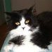 Profile Picture of Brandy Purslow (@brandy.purslow) on Facebook