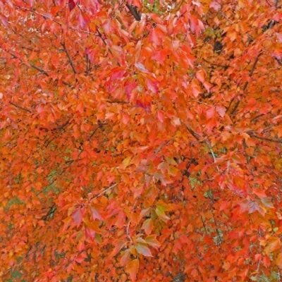 Profile Picture of Jen Albert (@@jsbritt) on Twitter