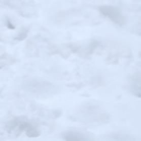 Profile Picture of Miki (@michaeltesfay) on Tiktok