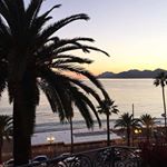 Profile Picture of Ted Falk (@falk.ted) on Instagram