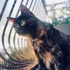 Profile Picture of cynthia.pascal1997 (@@cynthia.pascal199) on Tiktok