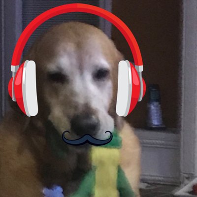 Profile Picture of Stephen Lipscomb (@Stephen83061101) on Twitter
