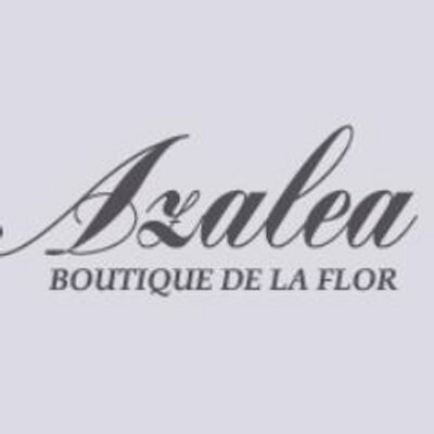 Profile Picture of Azalea Flores (@AzaleaVitoria) on Twitter