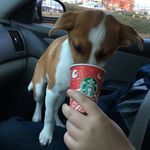 Profile Picture of Danny Fields (@danny_fields_05) on Instagram