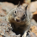 William Huang - Flickr Profile Picture of William Huang (@williamhxy1007) on Flickr