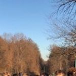 Profile Picture of Jason (@jasonlacks997) on Instagram