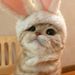 Profile Picture of ribby :3 (@cutiepie4000) on Pinterest