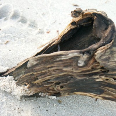 Amanda Silver - Twitter Profile Picture of Amanda Silver (@utz_0001) on Twitter