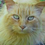 Profile Picture of Nathan Pennock (@nathan.pennock.9) on Facebook