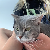 Profile Picture of Tilly (@Tilly-y7d) on Youtube