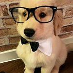 Profile Picture of wheeler Charles (@scottalesi1996) on Instagram