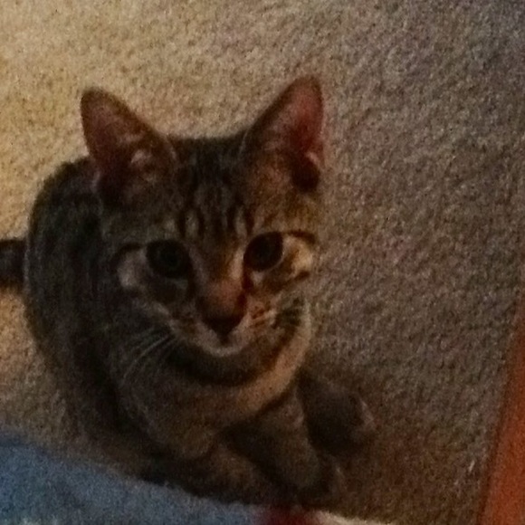 Liz Defilio - Poshmark Profile Picture of Liz Defilio (@ejdefilio) on Poshmark