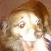 Profile Picture of Patricia Saunby (@patricia.saunby) on Facebook