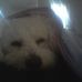 Profile Picture of Theodore Holmes (@theodore.holmes.71) on Facebook