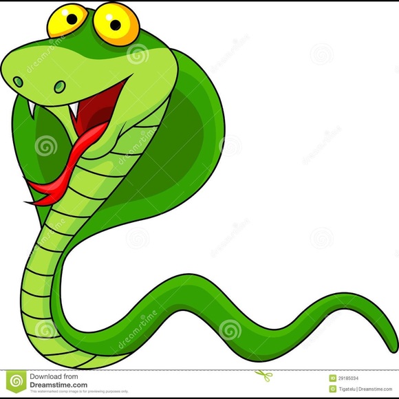 Profile Picture of Reilly Macera (@reillymacer) on Poshmark