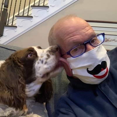 Profile Picture of Dave Stein (@davestei) on Twitter