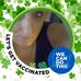 Profile Picture of Robin Sweigert (@robin.sweigert.319) on Facebook