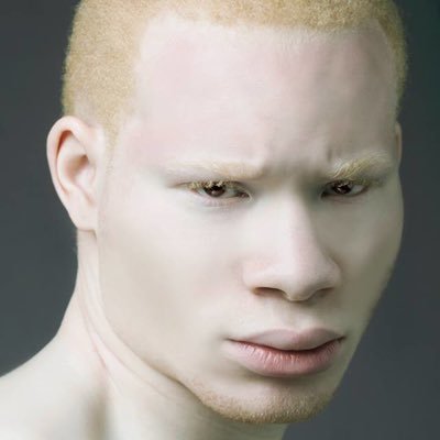Profile Picture of Blanco Junior (@LeoWeis2) on Twitter