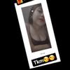 Profile Photo of wendybatz1 (@wendybatz1) on Tiktok