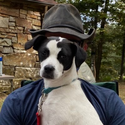 Profile Picture of Andy Sieja (he/him) (@Schmubb) on Twitter