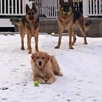 Profile Picture of Jennifer Barr Harrington (@scotty_1312_galen) on Instagram