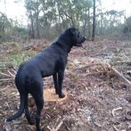 Profile Picture of Frank Omick (@frank.omick.3) on Facebook