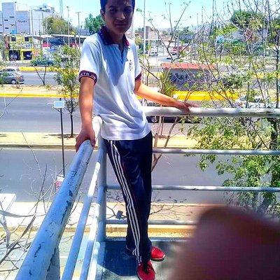 Profile Picture of Alfredo Iñiguez Palafox (@palafox_iniguez) on Twitter